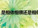是相依相偎还是相偎相依（相依相偎的意思）