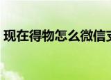 现在得物怎么微信支付（得物怎么微信支付）