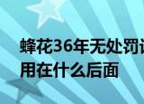 蜂花36年无处罚记录八胜肽抚纹润养精华液用在什么后面