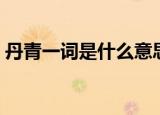 丹青一词是什么意思（丹青一词意思是什么）