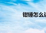 钳锤怎么读音（钳怎么读）