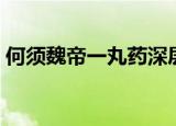 何须魏帝一丸药深层意思（何须魏帝一丸药）