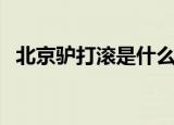 北京驴打滚是什么东西（北京驴打滚介绍）