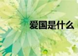 爱国是什么（爱国主义是什么）