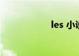 les 小说（les 小说）