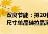 双良节能：拟20亿设立孙公司投建50GW大尺寸单晶硅拉晶项目