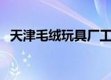 天津毛绒玩具厂工人工资（天津毛绒玩具）
