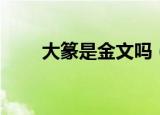 大篆是金文吗（金文是大篆之一吗）