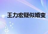 王力宏疑似婚变（王力宏被指婚内出轨）