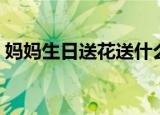 妈妈生日送花送什么花（妈妈生日送什么花）