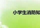 小学生消防知识（需要做到什么）