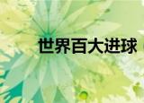 世界百大进球（史上最牛百大进球）