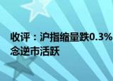 收评：沪指缩量跌0.3%，创业板指跌近2%，旅游、免税概念逆市活跃