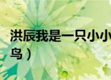 洪辰我是一只小小鸟简谱（洪辰我是一只小小鸟）