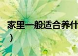 家里一般适合养什么鱼（六大适合家里养的鱼）
