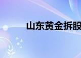 山东黄金拆股（山东金改概念股）