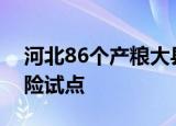 河北86个产粮大县推开粮食作物完全成本保险试点