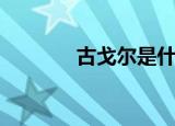 古戈尔是什么意思（古戈尔）