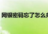 网银密码忘了怎么办（网银密码应该怎么做）