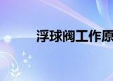 浮球阀工作原理（是怎么运行的）