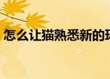 怎么让猫熟悉新的环境新的主人（新的主人）