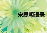 宋思明语录（宋思明语录列述）