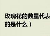 玫瑰花的数量代表什么意思（玫瑰花数量表示的是什么）