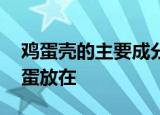 鸡蛋壳的主要成分是碳酸钙,将一个新鲜的鸡蛋放在
