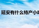 延安有什么特产小吃（延安特产小吃有哪些）