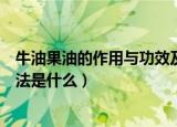 牛油果油的作用与功效及吃法（牛油果油的作用与功效及吃法是什么）