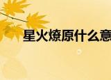 星火燎原什么意思（星火燎原啥意思）