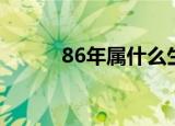 86年属什么生肖（86年的生肖）