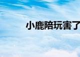 小鹿陪玩害了多少人（小鹿陪玩）