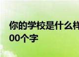 你的学校是什么样的同学们在学校里做什么300个字