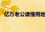 亿万老公请慢用地瓜党（亿万老公请慢用）