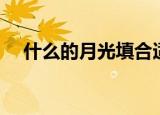 什么的月光填合适的词语（什么的月光）