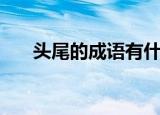头尾的成语有什么（头尾的成语列述）