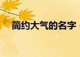 简约大气的名字（比较简约大气的名字）