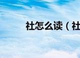 社怎么读（社读音以及意思介绍）