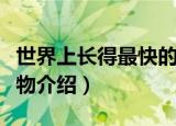 世界上长得最快的植物是什么（长得最快的植物介绍）