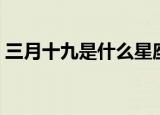 三月十九是什么星座（三月十九的星座介绍）