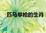 匹马单枪的生肖（单枪匹马是什么生肖）