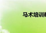 马术培训教程（马术学习）