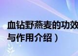 血钻野燕麦的功效与作用（血钻野燕麦的功效与作用介绍）
