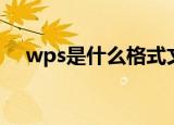 wps是什么格式文件（wps是什么格式）