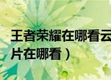王者荣耀在哪看云缨图片（王者荣耀云缨的图片在哪看）