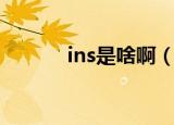 ins是啥啊（ins是指什么意思）