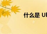  什么是 Ultrabook 超极本
