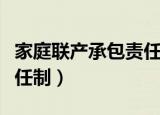 家庭联产承包责任制的弊端（家庭联产承包责任制）