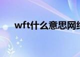 wft什么意思网络用语（wft什么意思）
